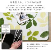 ラグ カーペット マイクロファイバー・デザイン マットXLサイズ（200×300cm）洗える マット 【WASHFA2】 新生活