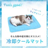 犬 猫 ひんやり クールマット Sサイズ ブルー 接触冷感 夏 熱中症対策 暑さ対策 涼感 エコ 洗える コンパクト収納 清潔 通気性抜群 ナイロン ポリエステル 子犬 超小型犬 チワワ トイプードル ミニチュアダックス