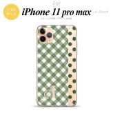 iPhone11ProMax iPhone11pro max スマホケース ソフトケース チェック ドット 白 緑 +アルファベット メンズ レディース nk-i11pm-tp1523i