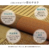 敷物 花ござ 国産 純国産 日本製 い草 モダン 抗菌防臭 自然素材 パッチワーク 不織布 江戸間6畳 約261×352cm