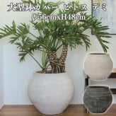 鉢カバー おしゃれ 大型 丸 ラウンド φ56cmxH48cm 18号 壺型 アンティーク セメント KONTON ピトス デミ ファイバーセメント 軽量 底穴なし 屋内 室内 L オフホワイト ダークグレー 観葉植物 シンボルツリー 北欧 モダン ナチュラル インテリア