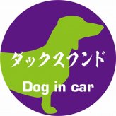 Dog in car ドッグインカー ステッカー カーステッカー ダックスフンド 毛筆書体 パープルグリーン シール 煽り運転対策 カーサイン