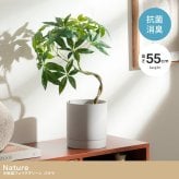 【高さ55cm】光触媒人工観葉植物 パキラ 幅35cm×奥行35cm×高さ55cm コンパクト 天然木 お部屋に気軽に飾れて空間を美しく彩るフェイクグリーン 本物の植物のようなリアルな質感とインテリアに馴染む風合いが魅力です