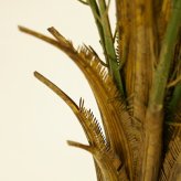 観葉植物 造花 カナリーヤシ BROWN 全高約116cm 中型 フェイクグリーン 本物そっくり おしゃれ インテリア 人工観葉植物 アーティフィシャルグリーン オフィス 店舗 ホテル 開店祝い 室内 フェニックス ヤシの木 フェイク