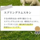 ラグ カーペット 日本製 ムートン 100×200 抗菌 防ダニ 消臭 高級 短毛 ムートンシーツ シーツ シングル 敷きパッド 敷パッド 羊毛 厚手 スプリングラム 本革 ウール 冬 国産 秋冬 四隅ゴムなし
