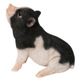 置物 豚 見上げるお座り黒白桃豚 幅19cm woobia ウービア ぶた リアル かわいい おしゃれ 玄関 インテリア オブジェ ガーデン ミニブタ 動物 アニマル 癒し 棚 北欧 プレゼント ギフト 新築祝い 面白い