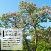 キャスター付き米びつ　Rice5kg ONKZ0214 米びつ 5kg 木製 桐 キャスター付き 取っ手 軽量 調湿 防虫 保存容器 スライド 木 桐製 虫除け 乾湿調節 収納 桐材 和風 ライスストッカー ストッカー 保存 保存容器 キッチン用品