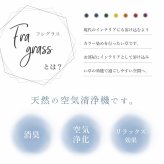 フレグラス インテリア 飾り 消臭剤 おしゃれ 落ち着く リビングインテリア 玄関飾り 約 30cm×20g