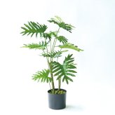 観葉植物 造花 セローム BROWN 全高約70cm 卓上・小型 フェイクグリーン 本物そっくり おしゃれ インテリア 人工観葉植物 アーティフィシャルグリーン オフィス 店舗 ホテル 開店祝い 室内 ミニ フィロデンドロン フェイク