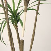 観葉植物 造花 ユッカ BROWN 全高約210cm 大型 フェイクグリーン 高級 本物そっくり リアル おしゃれ スタイリッシュ インテリア 人工観葉植物 アーティフィシャルグリーン モダン オフィス 店舗 ホテル 開店祝い 室内 リビング 玄関 風水 青年の木