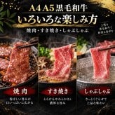 黒毛和牛 A4 A5 赤身2種食べ比べ 800g スライス400g・焼肉カット400g 肉ギフト