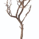 人工観葉植物　　マンザニータ93ｃｍ