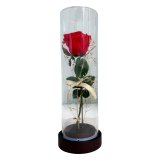 プリザーブドフラワー バラ 薔薇 ローズ 一輪 アクリルドーム ガラスドーム風 プレゼント ギフト 誕生日 記念日 プロポーズ 告白 結婚祝い 還暦 母の日 敬老の日 ホワイトデー クリスマス 彼女 妻 女性 サプライズ 贈り物 退職祝い お祝い 花 赤 かすみ草 アーティフィシャルフラワー 専用ボックス ケース付き インテリア 卓上 枯れない花 ブリザードフラワー ウエディング おしゃれ
