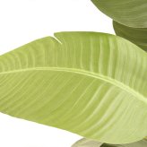 観葉植物 造花 トラベラーズパーム BROWN 全高約155cm 大型 フェイクグリーン 本物そっくり おしゃれ インテリア 人工観葉植物 アーティフィシャルグリーン オフィス 店舗 ホテル 開店祝い 室内 旅人の木 タビビトノキ フェイク