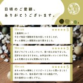 雑穀 雑穀米 国産 美容重視ビューティーブレンド【内容量が選べる400g~24kg】雑穀米本舗  無添加 無着色 定番サイズ 送料無料  ダイエット食品 置き換えダイエット