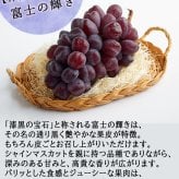 れいたす 青森産 シャインマスカット 富士の輝き・雄宝 選べる2サイズ, 800g 1.6kg