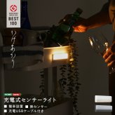 収納 人感センサーライト 室内 充電式 かげあかり05 ムサシ MUSASHI LED 電球色 USB Type-C 壁付け 石膏ボードピン マグネット脱着 物置 廊下 自動点灯 コードレス 日本製 30ルーメン 2色