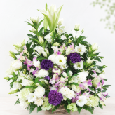 お供え花 お悔やみ 生花アレンジメント LLサイズ 高さ約50cm フラワーアレンジメント 供花 仏花 命日 お盆 お彼岸 法事 四十九日 一周忌 三回忌 枕花【送料別途・地域により異なります】【北海道・沖縄・九州・四国・中国・離島は配送不可】