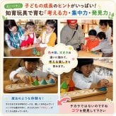 [日本製安心おもちゃ]　ピックアップコーン・送料無料] 日本グッドトイ受賞 [木のおもちゃ パズル 知育玩具 型はめ 日本製 1歳～100歳 高齢者 リハビリ バリアフリー 2歳 3歳 4歳 5歳 6歳 7歳 8歳 誕生日ギフト～出産祝い 男の子 女の子 赤ちゃん おもちゃ 親子 木育 家族 ]