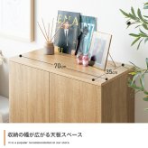 推し活 棚 推し活収納 キャビネット チェスト ラック 収納 推し 飾る 大容量 スリム 薄型 コンパクト 省スペース 扉付き 可動 ワゴン 仕切り キャスター リビング 隠す収納 隠せる 一人暮らし ワンルーム 本