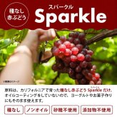 前田家 大粒レーズン ノンオイル カリフォルニア産 300g/500g/700g 無添加 砂糖不使用 種なし ドライフルーツ 干しぶどう レーズン 大粒 製菓材料 おやつ 送料無料 MAEDAYA