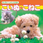  あそびと知育のたからばこB（7冊セット） COS-50-01F  内祝 内祝い お祝 御祝 記念品 出産内祝い プレゼント 快気祝い 粗供養 引出物