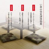 日本製 い草 座布団 クッション ブロック柄 2枚組 約55×55cm ブロック柄のい座布団 国産 抗菌防臭 消臭 ウレタン 座ぶとん ざぶとん フロアクッション 和室クッション 寝具 寝室用品 インテリア ウレタンフォーム クッション性 汚れにくい 新生活