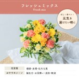 フラワーギフト カラフルガーデンフラワーアレンジメント Mサイズ 生花 花市場から直送 父の日  お祝い 誕生日 記念日