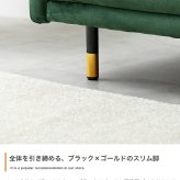 ソファ 座椅子 2人掛け コンパクト ー ベロア フロア ロー 二人用 2P 小さい 小さめ 省スペース クッション付き ひとり暮らし 一人暮らし 高級感 高見え 上質 幅113 1K ワンルーム リビング 組み立て簡単