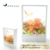 プリザーブドフラワーアレンジメント 【Natural Frame】　 窓枠のようなフレームのプリザーブドフラワーです。やさしい色の組み合わせで自然の中にある色彩の美しさを楽しんで頂けます。プリザーブドフラワー 誕生日 花 プレゼント お祝い グリーン 和 ギフト メッセージ 送料無料  プレゼント おしゃれ リビング インテリア 枯れない花 土日発送 母の日 敬老の日 お中元 お歳暮