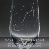 星座のグラス 「ラインストーンきらめく 12星座のタンブラーグラス／ペアセット 」