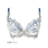 ワコール サルート BTJ442 42G ブラジャー 3/4カップワイヤー (P-upタイプ) G・H・Iカップ
