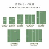 ラグ カーペット 洗える ござ 日本製 国産 丈夫 除菌スプレー対応 敷詰 敷物 ペット 無地 江戸間10畳（約435×352cm）