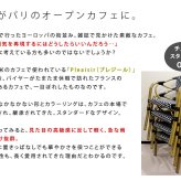ガーデンチェア2脚セット チェア2脚セット「プレジール」 簡単組立 ガーデン PEラタン テラス 庭 レッド ブ アルミ モダン イングリッシュガーデン ファニチャー 椅子 イス シンプル 欧州 インテリア 家具 カフェ 屋外椅子 アウトドアチェア 座面 新生活