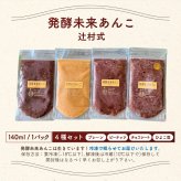 発酵あんこ 4種セット 砂糖不使用 人工甘味料不使用 無添加 140g×4個 食べ比べ 米麹 国産発酵16雑穀使用 プレーン ひよこ豆 ピーナッツ チョコレート 腸活 発酵食品 あずき ヘルシー 自然な甘み おやつ デザート トッピング ギフト プレゼント 手土産 BOX入り お中元
