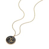 フォッシル FOSSIL Sutton アクセサリー ネックレス ペンダント やぎ座 レディース JF04847710