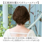 プリシラ 部分 ウィッグ prisila ST-101 通販 かつら 女性 レディース 部分ウィッグ ポイントウイッグ ヘアピース ポイントウィッグ ウイッグ 頭頂部 つむじ 白髪隠し 白髪かくし カツラ 人毛100% 人 毛 100 ショート 増毛部分かつら