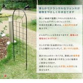 ガーデン エクステリア クラシックフェンス ロータイプ 2枚組 フェンス ゲート 扉 アイアン ガーデニング 枠 柵 仕切り 目隠し 境目 クラシカル アンティーク トレリス ベランダ つる 薔薇 バラ 朝顔 園芸 ラティス 新生活