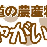 きたあかり 9.5-10kg 訳あり 北海道 じゃがいも S-Mサイズ 送料無料  ※沖縄は送料別途加算 キタアカリ
