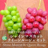 長野県産 シャインマスカット クイーンルージュ 各1房 【2房】 ｜ 1房約450-500g ｜ ぶどう 国産フルーツ 贈答用 ギフト プレゼント