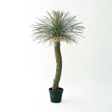 観葉植物 造花 ユッカ ロストラータ BROWN 全高約120cm 大型 フェイクグリーン 本物そっくり おしゃれ インテリア 人工観葉植物 アーティフィシャルグリーン オフィス 店舗 ホテル 開店祝い 室内 ブルー フェイク