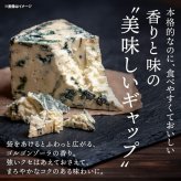 前田家 のり天 ゴルゴンゾーラチーズ味 100g/230g 海苔天 のり天ぷら ゴルゴンゾーラ チーズ 濃厚 チーズ味 チーズスナック 国産海苔 国産 海苔 濃厚 ワイン おつまみ おやつ 送料無料 MAEDAYA