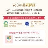 そのまま飾れる アレンジメント Sサイズ 敬老 お中元 敬老の日 退職 入学 送料無料 土日発送OK アレンジ 誕生日プレゼント バラ ギフト フラワー 花束 生花 お祝い フラワーギフト 花 花瓶いらず プレゼント 花 ギフト 50代 60代 70代