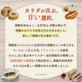 発酵あんこ 4種セット 砂糖不使用 人工甘味料不使用 無添加 140g×4個 食べ比べ 米麹 国産発酵16雑穀使用 プレーン ひよこ豆 ピーナッツ チョコレート 腸活 発酵食品 あずき ヘルシー 自然な甘み おやつ デザート トッピング ギフト プレゼント 手土産 BOX入り お中元
