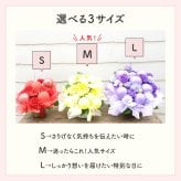 【バルーン入りカラフルフラワーアレンジメント】【選べる10色】【Sサイズ】【クール便】フラワーアレンジメント 送料込｜敬老の日 誕生日 結婚祝い 出産祝い 還暦祝い 退職祝い 結婚記念日 引っ越し祝い 新築祝い 産休祝い 開業・開店祝い記念日 周年祝い