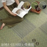 敷物 花ござ 国産 純国産 日本製 小林製薬 持続性抗菌剤 KOBA-GUARD 制菌 抗菌防臭  夏 い草 市松 モダン 江戸間2畳 約174×174cm