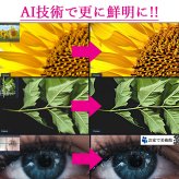 日本製 アンリ マティス マチス A3 サイズ ポスター アート おしゃれ 絵画 インテリア 北欧 イラスト マット紙 艶消し アートパネル 額 フレーム デザイン 壁掛け ギフト 新築祝い ディスプレイ  速達 送料無料