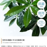 照明 ライト パキラ 観葉植物 人工 フェイクグリーン 室内 リビング オフィス 一人暮らし 緑 インテリア 光触媒 空気清浄 消臭 抗菌 防汚 ホルムアルデヒド分解 おしゃれ 高さ150cm 造花 植木 鉢植え 新築祝い 開店