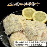 ヒレカツ 10枚 400g 揚げるだけ カツ 冷凍 ギフト おかず お弁当 お惣菜 冷凍食品 とんかつ お取り寄せグルメ 豚肉 ヒレ