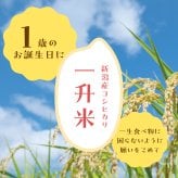 1歳の記念に【一升米】お名前・誕生日入り選べるデザイン米袋 選び取りカードつき  風呂敷 こしひかり コシヒカリ 誕生 人気 名入れ お米ギフト ギフト プレゼント お米 誕生日